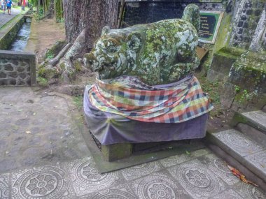 Parlak renkli tavukların olduğu geleneksel bir köy. Endonezya 'nın Bali adasındaki tarihi binalar ve geleneksel yaşam