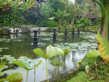 the king's water temple or water palace. Tropical landscape, colorful flowers and statues can be found on the Tirta Gangga site, Bali, Indonesia clipart