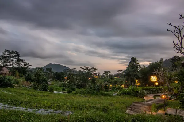Bali 'nin yeşil tarafı, pirinç terasları, orman ve tropikal bir çevre. Siedemen, Karangasem, Bali, Endonezya