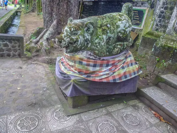 Parlak renkli tavukların olduğu geleneksel bir köy. Endonezya 'nın Bali adasındaki tarihi binalar ve geleneksel yaşam