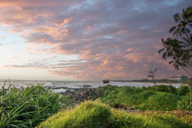 Beach, with lava rocks and vegetation, view of the sea in the evening at sunset. Landscape with clouds in Induruwa, Bentota Beach, Sri Lanka, India, Asia clipart