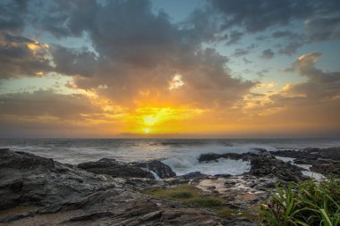 Beach, with lava rocks and vegetation, view of the sea in the evening at sunset. Landscape with clouds in Induruwa, Bentota Beach, Sri Lanka, India, Asia clipart