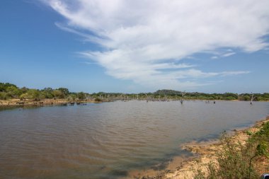 Büyük bir arazideki en eski doğa rezervi. Sabah güneş doğarken doğal ortam. Yala Ulusal Parkı, Uva, Sri Lanka, Hindistan ve Asya 'daki bozkır arazisinde saf doğa.