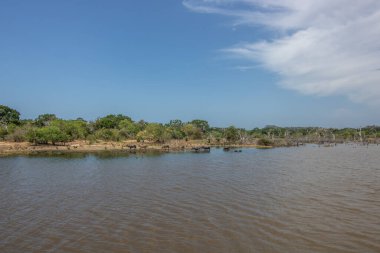 Büyük bir arazideki en eski doğa rezervi. Sabah güneş doğarken doğal ortam. Yala Ulusal Parkı, Uva, Sri Lanka, Hindistan ve Asya 'daki bozkır arazisinde saf doğa.