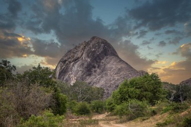 Büyük bir arazideki en eski doğa rezervi. Sabah güneş doğarken doğal ortam. Yala Ulusal Parkı, Uva, Sri Lanka, Hindistan ve Asya 'daki bozkır arazisinde saf doğa.