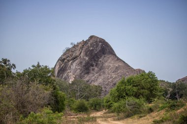 Büyük bir arazideki en eski doğa rezervi. Sabah güneş doğarken doğal ortam. Yala Ulusal Parkı, Uva, Sri Lanka, Hindistan ve Asya 'daki bozkır arazisinde saf doğa.