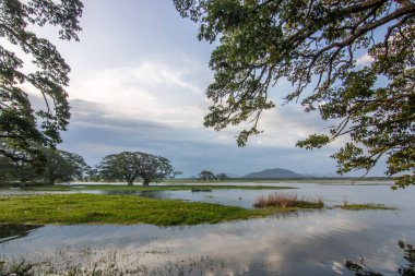 Astropikal iklimde manzara fotoğrafı. Göldeki göl ya da bataklık bölgesi, Sri Lanka 'nın güneyindeki Kiriibban Wewa' da akşam görüntüsü.