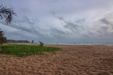 Deniz manzarası var. Ufukta deniz manzaralı uzun ve ıssız bir sahil. Kumda bir fırtınanın dalgaları kopar ve gün batımında resme özel bir dokunuş verir. Bentota, Sri Lanka, Asya