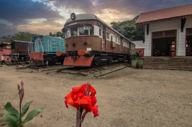 Subtropikal iklimde Bereketli Dağlık Topraklar 'daki Demiryolu Müzesi. Kandy, Nuwara Eliya, Sri Lanka, Asya 'daki ünlü dağlık demiryolunun tarihi trenlerini söktüler.