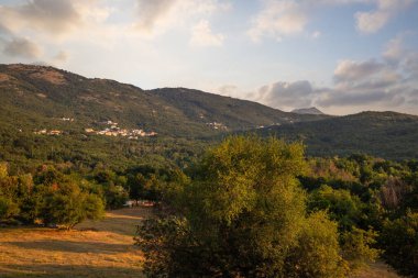 Akdeniz 'deki Akdeniz manzarası, sabah güneş doğarken çekildi. Akdeniz, Moenika Draga, Moscenicka Draga, Istria ve Hırvatistan 'da kayalıkları ve kayaları olan saf doğa.