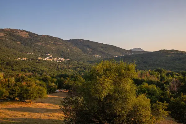 Akdeniz 'deki Akdeniz manzarası, sabah güneş doğarken çekildi. Akdeniz, Moenika Draga, Moscenicka Draga, Istria ve Hırvatistan 'da kayalıkları ve kayaları olan saf doğa.