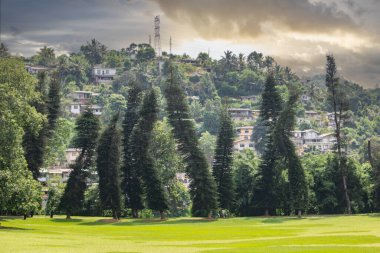 Tropikal iklimin verimli dağlık kesimlerinde manzara fotoğrafı. Orman, tarlalar ve botanik bahçesi. Peradeniya Kraliyet Botanik Bahçesi Kandy, Nuwara Eliya, Sri Lanka, Asya