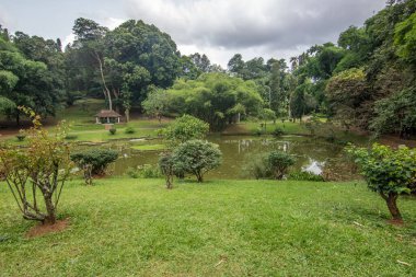 Tropikal iklimin verimli dağlık kesimlerinde manzara fotoğrafı. Orman, tarlalar ve botanik bahçesi. Peradeniya Kraliyet Botanik Bahçesi Kandy, Nuwara Eliya, Sri Lanka, Asya