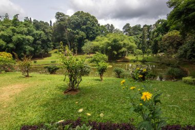 Tropikal iklimin verimli dağlık kesimlerinde manzara fotoğrafı. Orman, tarlalar ve botanik bahçesi. Peradeniya Kraliyet Botanik Bahçesi Kandy, Nuwara Eliya, Sri Lanka, Asya