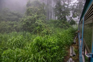 Tropikal iklimin verimli dağlık kesimlerinde manzara fotoğrafı. Orman, tarlalar ve çay tarlaları. Kandy ve Nuwara Eliya, Sri Lanka, Asya arasındaki mavi tren yolculuğu.
