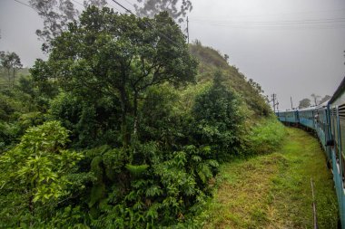 Landscape photograph in the fertile highlands in the subtropical climate. Jungle, fields and tea plantations. Train journey, with the blue train between Kandy and Nuwara Eliya, Sri Lanka, Asia clipart