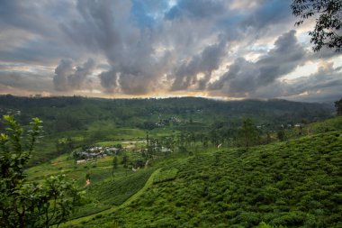 Tropikal iklimin verimli dağlık kesimlerinde manzara fotoğrafı. Orman ormanı, tarlalar ve çay tarlaları Kandy ve Nuwara Eliya, Sri Lanka, Asya arasındaki yeşil manzarayı karakterize eder.