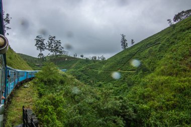 Tropikal iklimin verimli dağlık kesimlerinde manzara fotoğrafı. Orman, tarlalar ve çay tarlaları. Kandy ve Nuwara Eliya, Sri Lanka, Asya arasındaki mavi tren yolculuğu.