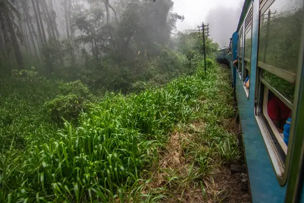 Tropikal iklimin verimli dağlık kesimlerinde manzara fotoğrafı. Orman, tarlalar ve çay tarlaları. Kandy ve Nuwara Eliya, Sri Lanka, Asya arasındaki mavi tren yolculuğu.