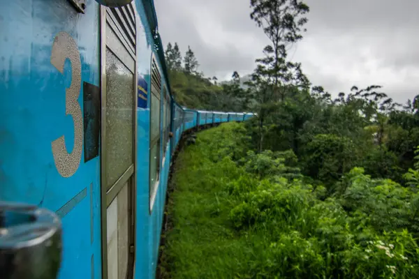 Tropikal iklimin verimli dağlık kesimlerinde manzara fotoğrafı. Orman, tarlalar ve çay tarlaları. Kandy ve Nuwara Eliya, Sri Lanka, Asya arasındaki mavi tren yolculuğu.