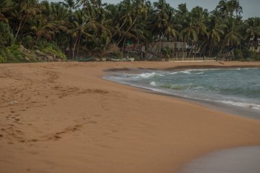Akşama kumsalda, gün batımında. Vahşi dalgalı kumsal. Denizin üzerinde gün batımını gösteren manzara. Bentota, Sri Lanka, Asya yakınlarındaki ufuk manzarası
