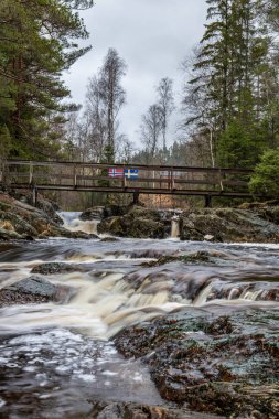 Ormandaki ve doğadaki büyük bir şelalenin manzara görüntüsü. Sonbahar manzarası Elgafossen Vattenfall nehri Vassbotten, İskandinavya 'da İsveç ile Norveç arasında doğal bir sınır oluşturur.