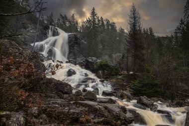 Ormandaki ve doğadaki büyük bir şelalenin manzara görüntüsü. Sonbahar manzarası Elgafossen Vattenfall nehri Vassbotten, İskandinavya 'da İsveç ile Norveç arasında doğal bir sınır oluşturur.