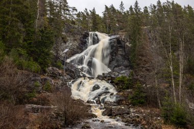 Landscape shot of a large waterfall in the forest and nature. Autumn landscape The Elgafossen Vattenfall river provides a natural border between Sweden and Norway at Vassbotten, Scandinavia clipart