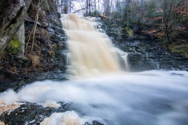 Ladin, huş ağacı ormanı ve doğadaki büyük bir şelalenin manzarası. Şelaleye, Byklevsfallet 'e, Vnersborg' a, İsveç 'e, İskandinavya' ya uzanan sonbahar manzarası
