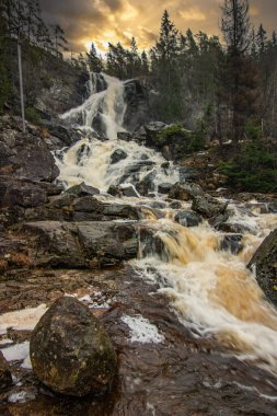 Ormandaki ve doğadaki büyük bir şelalenin manzara görüntüsü. Sonbahar manzarası Elgafossen Vattenfall nehri Vassbotten, İskandinavya 'da İsveç ile Norveç arasında doğal bir sınır oluşturur.