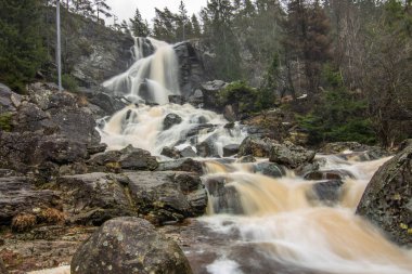 Ormandaki ve doğadaki büyük bir şelalenin manzara görüntüsü. Sonbahar manzarası Elgafossen Vattenfall nehri Vassbotten, İskandinavya 'da İsveç ile Norveç arasında doğal bir sınır oluşturur.