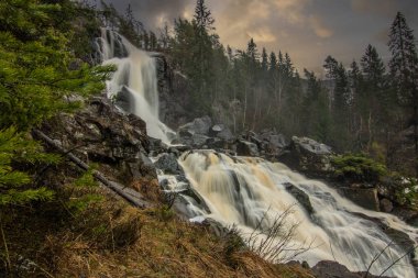 Ormandaki ve doğadaki büyük bir şelalenin manzara görüntüsü. Sonbahar manzarası Elgafossen Vattenfall nehri Vassbotten, İskandinavya 'da İsveç ile Norveç arasında doğal bir sınır oluşturur.