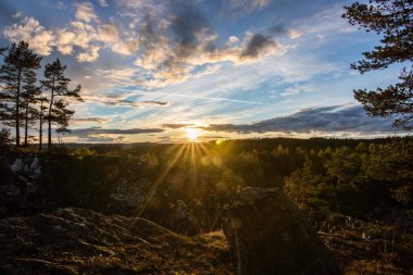Çam ormanında çekilmiş manzara. Ağaçlara bakan bir kayanın manzarası. İsveç 'te akşam saatlerinde ufukta romantik bir günbatımı beliriyor.,
