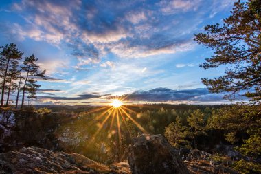 Çam ormanında çekilmiş manzara. Ağaçlara bakan bir kayanın manzarası. İsveç 'te akşam saatlerinde ufukta romantik bir günbatımı beliriyor.,