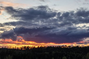 Çam ormanında çekilmiş manzara. Ağaçlara bakan bir kayanın manzarası. İsveç 'te akşam saatlerinde ufukta romantik bir günbatımı beliriyor.,