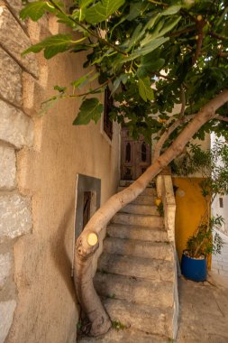 Akdeniz 'de, evleri, sokakları ve meydanları olan güzel, eski bir kasaba. Hırvatistan 'ın Baka Krk kentinde sabah havası