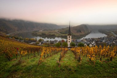 River in the fog winds through a valley between vineyards in a 180 degree loop. A great landscape and lighting in the morning. Church tower, Moselle, Bremm, Moselle loop, Rhineland-Palatinate, Germany clipart