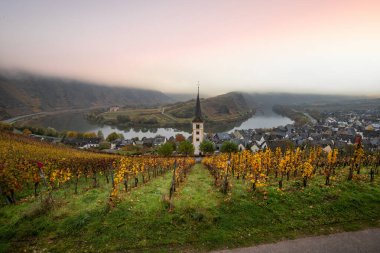 Sisteki nehir, üzüm bağları arasındaki bir vadide 180 derecelik bir döngü içinde esiyor. Sabahları harika bir manzara ve aydınlatma. Kilise kulesi, Moselle, Bremm, Moselle döngüsü, Rhineland-Palatinate, Almanya