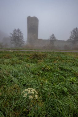 Ruins of a castle. Landscape shot in autumn. Defensive structure in a lake. Misty landscape in the morning at the historical sight in Morbach, Baldenau castle ruins, Rhineland-Palatinate, Germany clipart