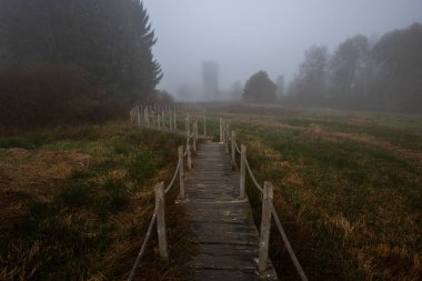 A wooden walkway or pier leads through a nature reserve in thick fog. Landscape shot in the middle of nature in autumn. Baldenau castle ruins, Morbach, Hunsrck, Rhineland Palatinate clipart