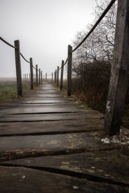 Ahşap bir geçit ya da iskele yoğun siste doğa koruma alanının içinden geçiyor. Doğanın ortasında sonbaharda çekilmiş manzara. Baldenau Kalesi Harabeleri, Morbach, Hunsrck, Rhineland Palatinate