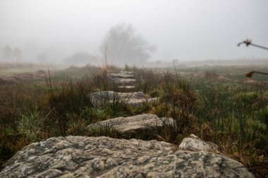 A stone path or stone walkway leads through a nature reserve in thick fog. Landscape shot in the middle of nature in autumn. Baldenau castle ruins, Morbach, Hunsrck, Rhineland Palatinate clipart