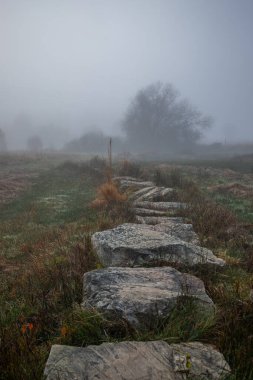 A stone path or stone walkway leads through a nature reserve in thick fog. Landscape shot in the middle of nature in autumn. Baldenau castle ruins, Morbach, Hunsrck, Rhineland Palatinate clipart