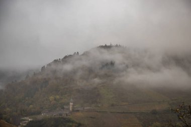 Sonbaharda manzara çekimi. Sisin içinde nehir ve sonbahar bağları arasında bir kasaba dolaşıyor. Tepede bir kale duruyor. Zell Mosel, Hunsrck, Rhineland Palatinate