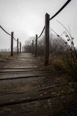 Ahşap bir geçit ya da iskele yoğun siste doğa koruma alanının içinden geçiyor. Doğanın ortasında sonbaharda çekilmiş manzara. Baldenau Kalesi Harabeleri, Morbach, Hunsrck, Rhineland Palatinate