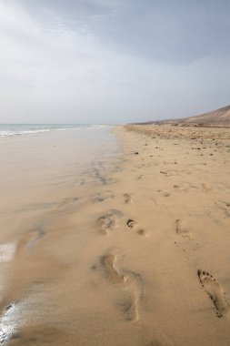 Deniz kenarında sığ bir gölü olan kumlu bir sahil. Akşamları verimsiz manzara çekimleri. Playa de Sotavento de Janda, Fuerteventura, Kanarya Adaları, İspanya