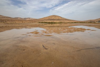 Deniz kenarında sığ bir gölü olan kumlu bir sahil. Akşamları verimsiz manzara çekimleri. Playa de Sotavento de Janda, Fuerteventura, Kanarya Adaları, İspanya