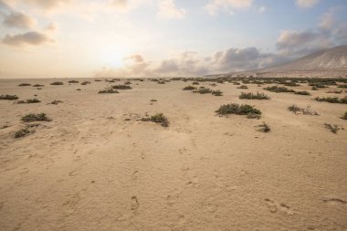 Deniz kenarında sığ bir gölü olan kumlu bir sahil. Akşamları verimsiz manzara çekimleri. Playa de Sotavento de Janda, Fuerteventura, Kanarya Adaları, İspanya