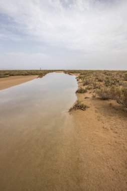 Deniz kenarında sığ bir gölü olan kumlu bir sahil. Akşamları verimsiz manzara çekimleri. Playa de Sotavento de Janda, Fuerteventura, Kanarya Adaları, İspanya