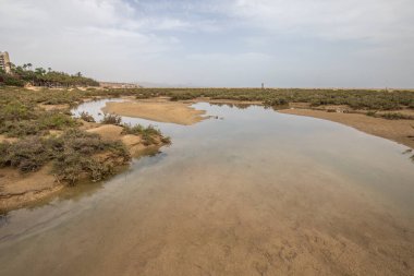 Deniz kenarında sığ bir gölü olan kumlu bir sahil. Akşamları verimsiz manzara çekimleri. Playa de Sotavento de Janda, Fuerteventura, Kanarya Adaları, İspanya